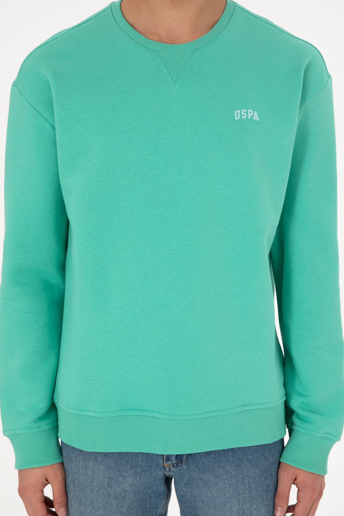 سوئیشرت مردانه U.S. Polo Assn. یقه گرد نعنایی پرزدار مدل 50295148-VR152 سوئیشرت مردانه U.S. Polo Assn. یقه گرد نعنایی پرزدار مدل 50295148-VR152
