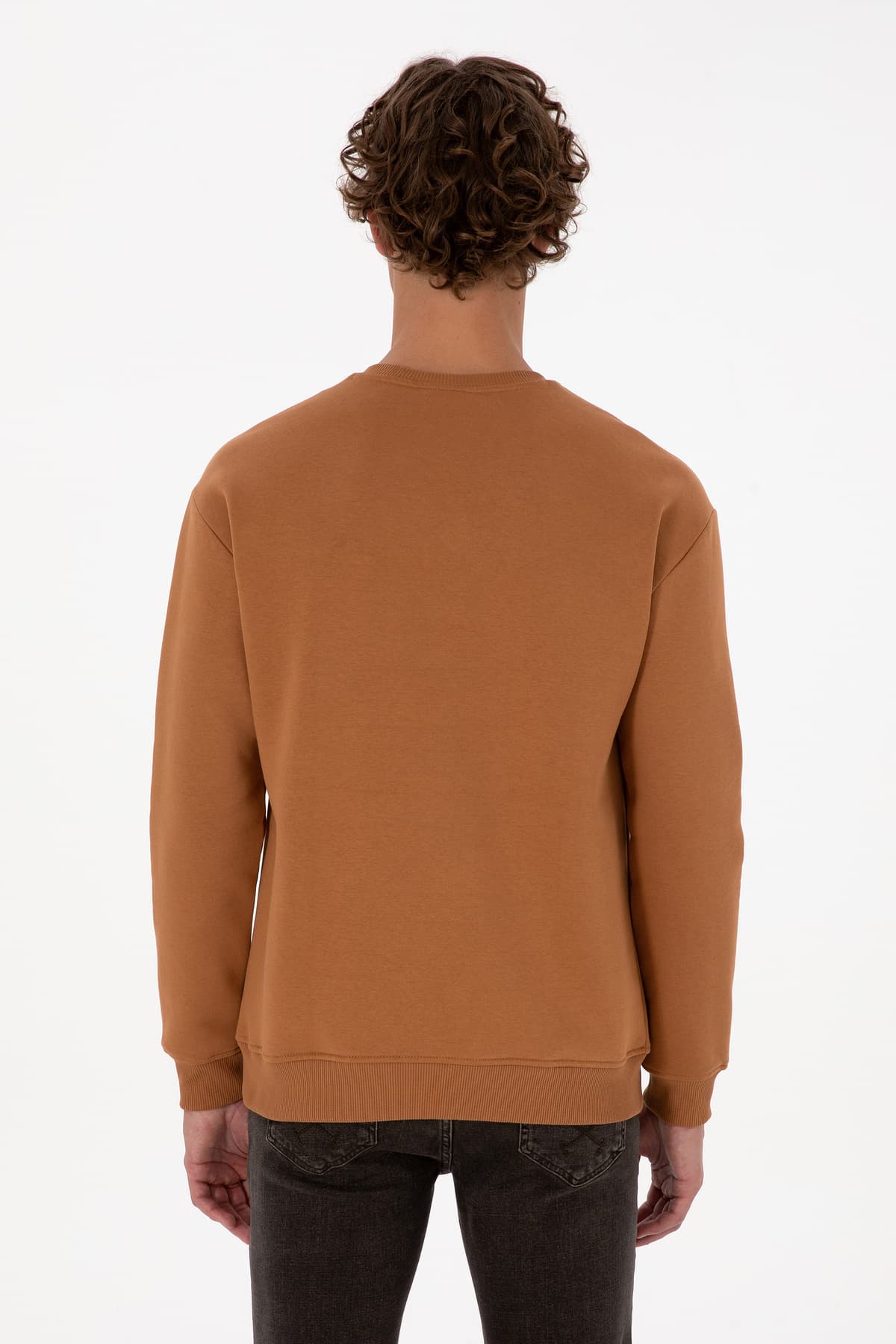 سویشرت مردانه U.S. Polo Assn. کامفورتفیت یقه گرد پرزدار شتری Basic مدل 50313757-VR233 سویشرت مردانه U.S. Polo Assn. کامفورتفیت یقه گرد پرزدار شتری Basic مدل 50313757-VR233
