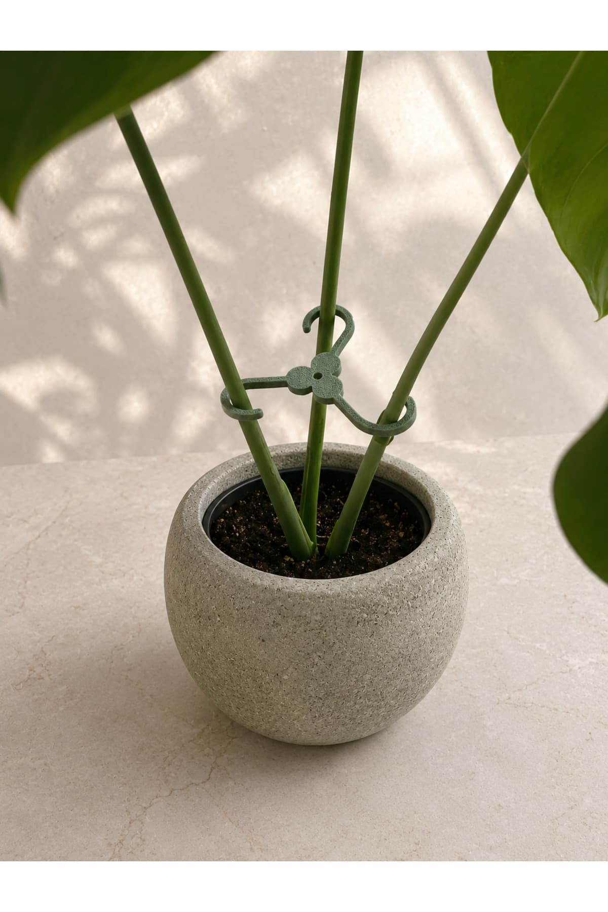 گیره تثبیتکننده ساقه گیاه 4 عددی Elana Design برای گیاهان با شاخههای ضخیم گیره تثبیتکننده ساقه گیاه 4 عددی Elana Design برای گیاهان با شاخههای ضخیم