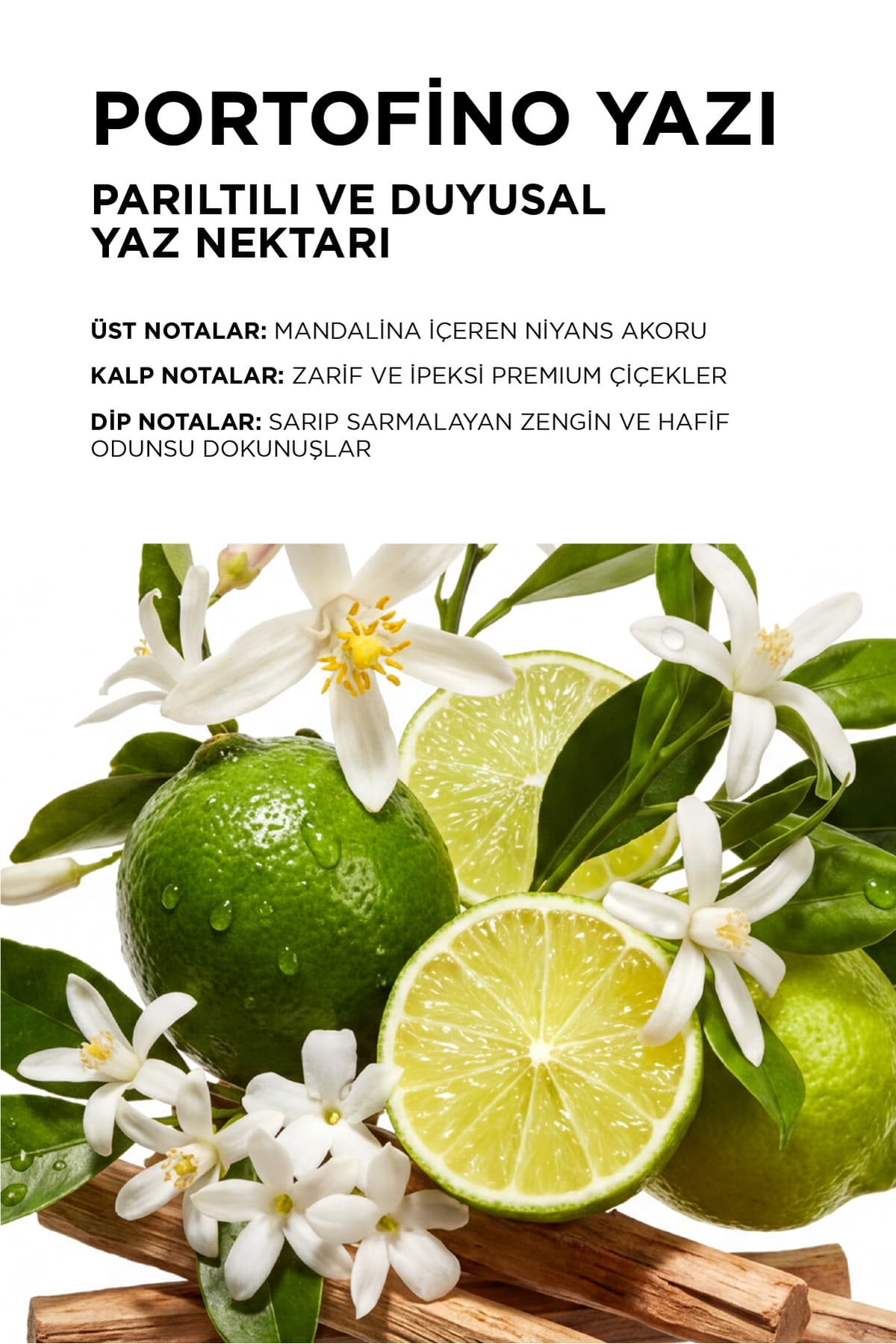 ماسک مو ترمیمکننده و محافظ Kerastase Premiere برای موهای آسیبدیده 200ml ماسک مو ترمیمکننده و محافظ Kerastase Premiere برای موهای آسیبدیده 200ml