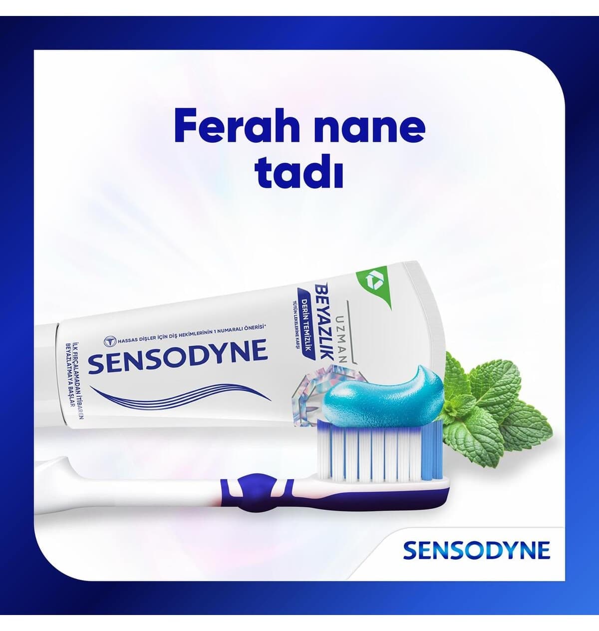 خمیر دندان Sensodyne ضد لکه تنباکو سفیدکننده تخصصی تمیزکننده عمیق 75ml X4 خمیر دندان Sensodyne ضد لکه تنباکو سفیدکننده تخصصی تمیزکننده عمیق 75ml X4