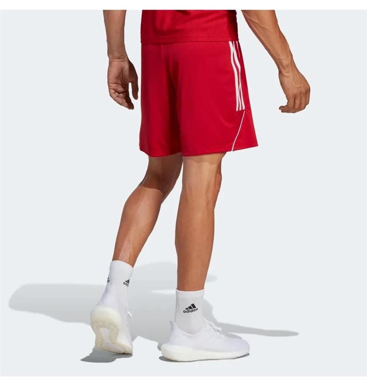 شورت تمرینی فوتبال مردانه adidas Tiro 23 قرمز مدل Ib8082 شورت تمرینی فوتبال مردانه adidas Tiro 23 قرمز مدل Ib8082