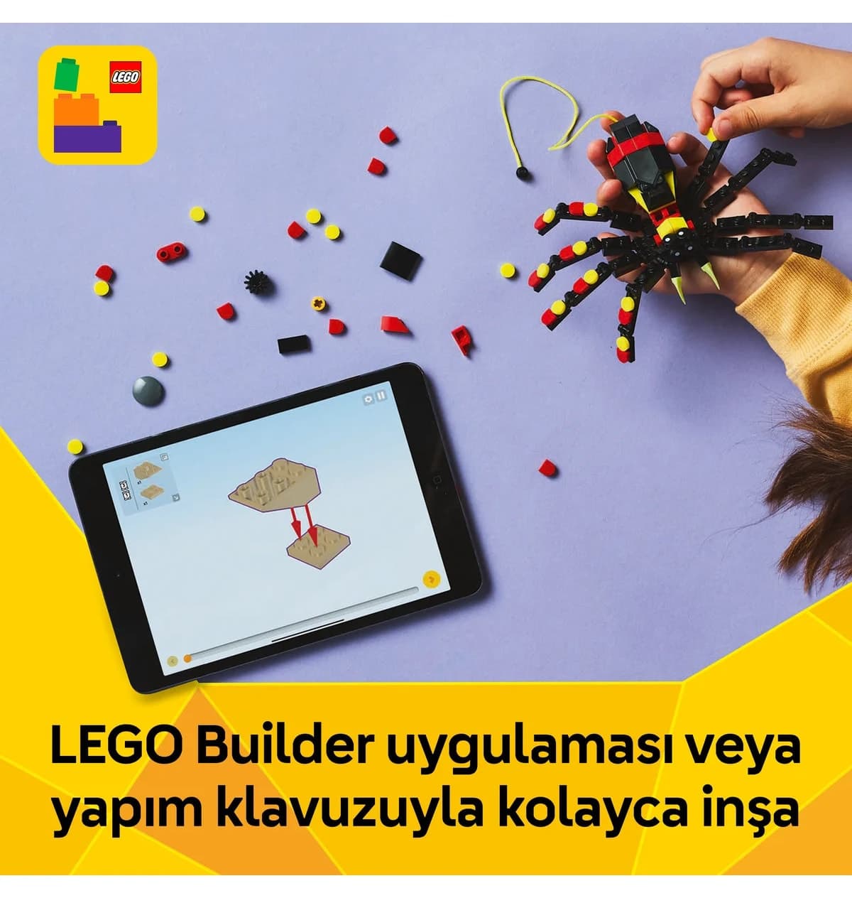 لگو Creator 3 در 1 حیوانات وحشی عنکبوت شگفتانگیز مدل 31159 لگو Creator 3 در 1 حیوانات وحشی عنکبوت شگفتانگیز مدل 31159