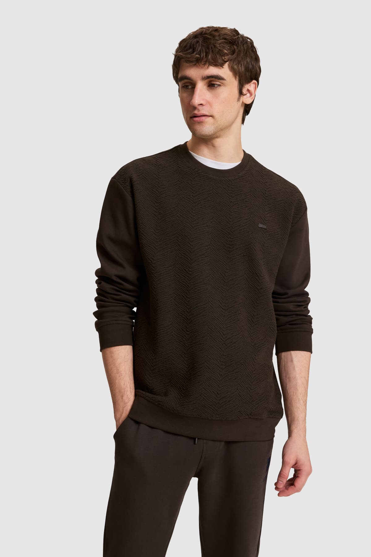 سوئیشرت مردانه U.S. Polo Assn. قهوهای تیره مدل 50329411-VR084 سوئیشرت مردانه U.S. Polo Assn. قهوهای تیره مدل 50329411-VR084