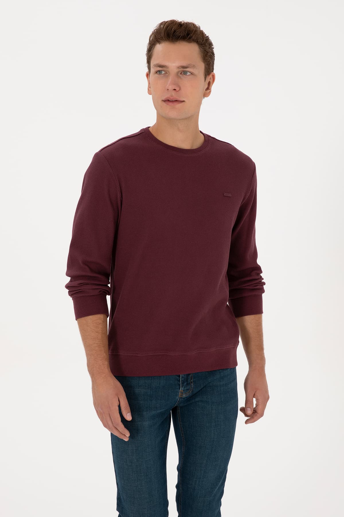 سوئیشرت مردانه U.S. Polo Assn. فیت معمولی یقه گرد بوردو مدل 50316390-VR177 سوئیشرت مردانه U.S. Polo Assn. فیت معمولی یقه گرد بوردو مدل 50316390-VR177