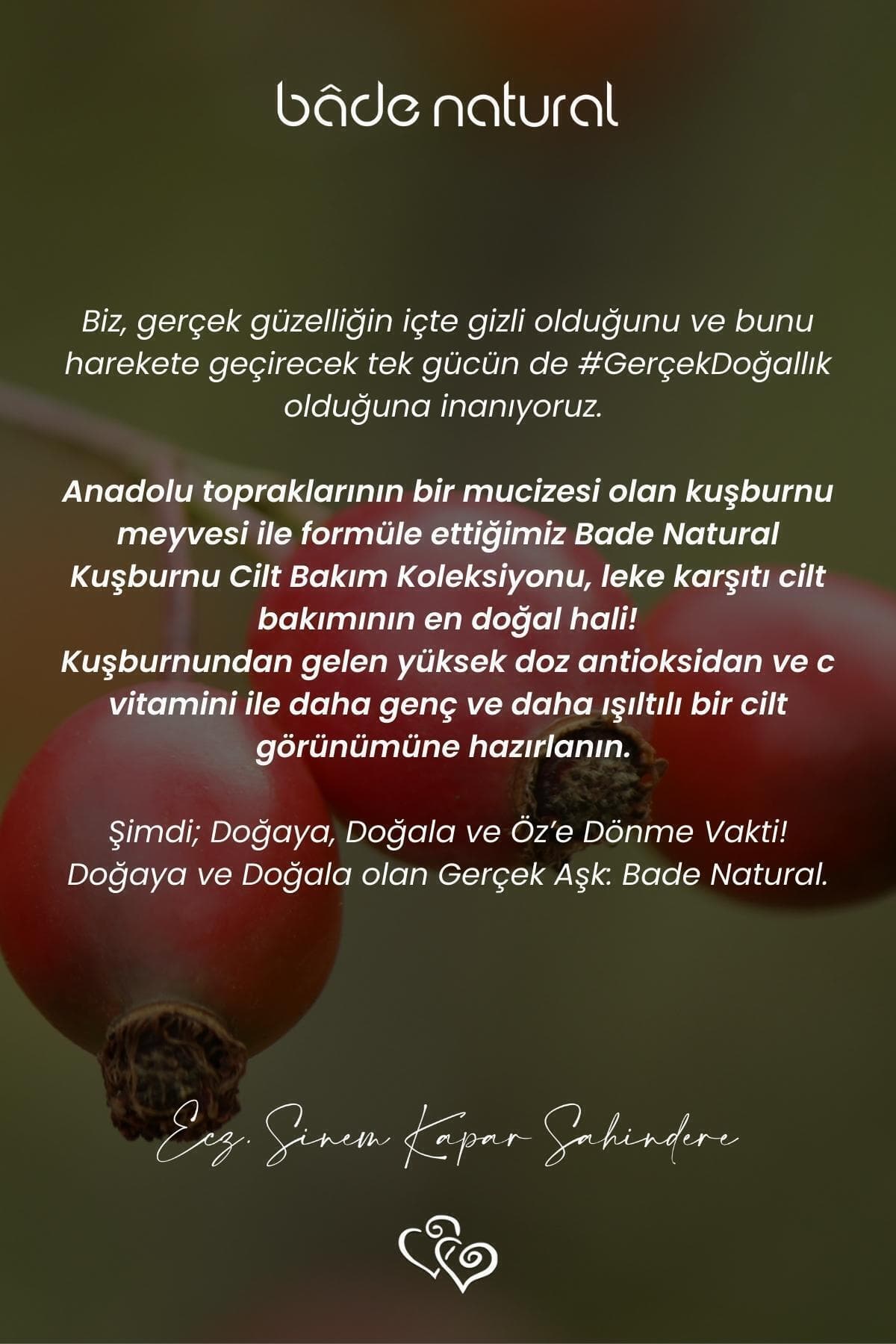 روغن هسته گل سرخ Bade Natural سردفشار ضدلک روشنکننده %100 خالص 30 ml روغن هسته گل سرخ Bade Natural سردفشار ضدلک روشنکننده %100 خالص 30 ml