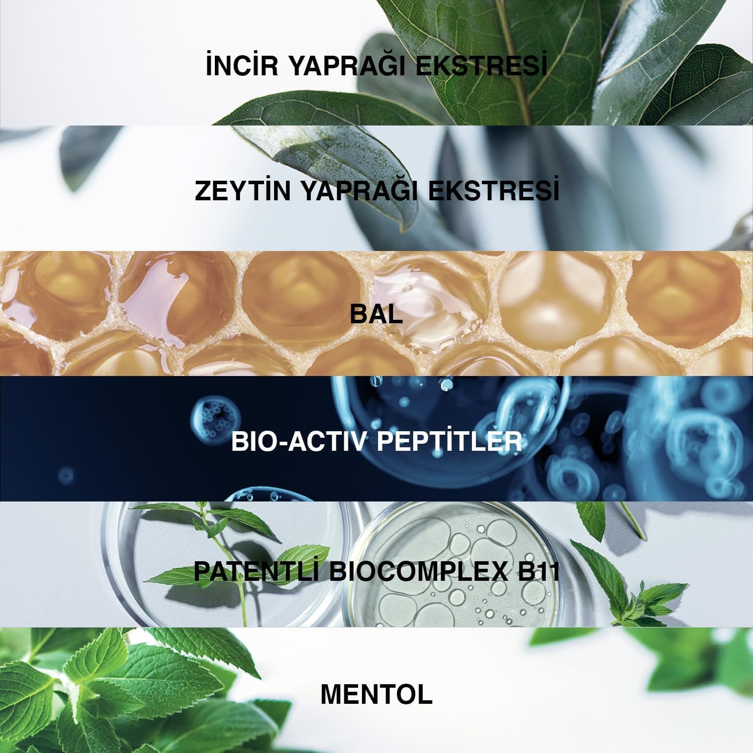 شامپو Bioxcin Klasik گیاهی برای موهای خشک و نرمال ضد ریزش 3×300ml شامپو Bioxcin Klasik گیاهی برای موهای خشک و نرمال ضد ریزش 3×300ml