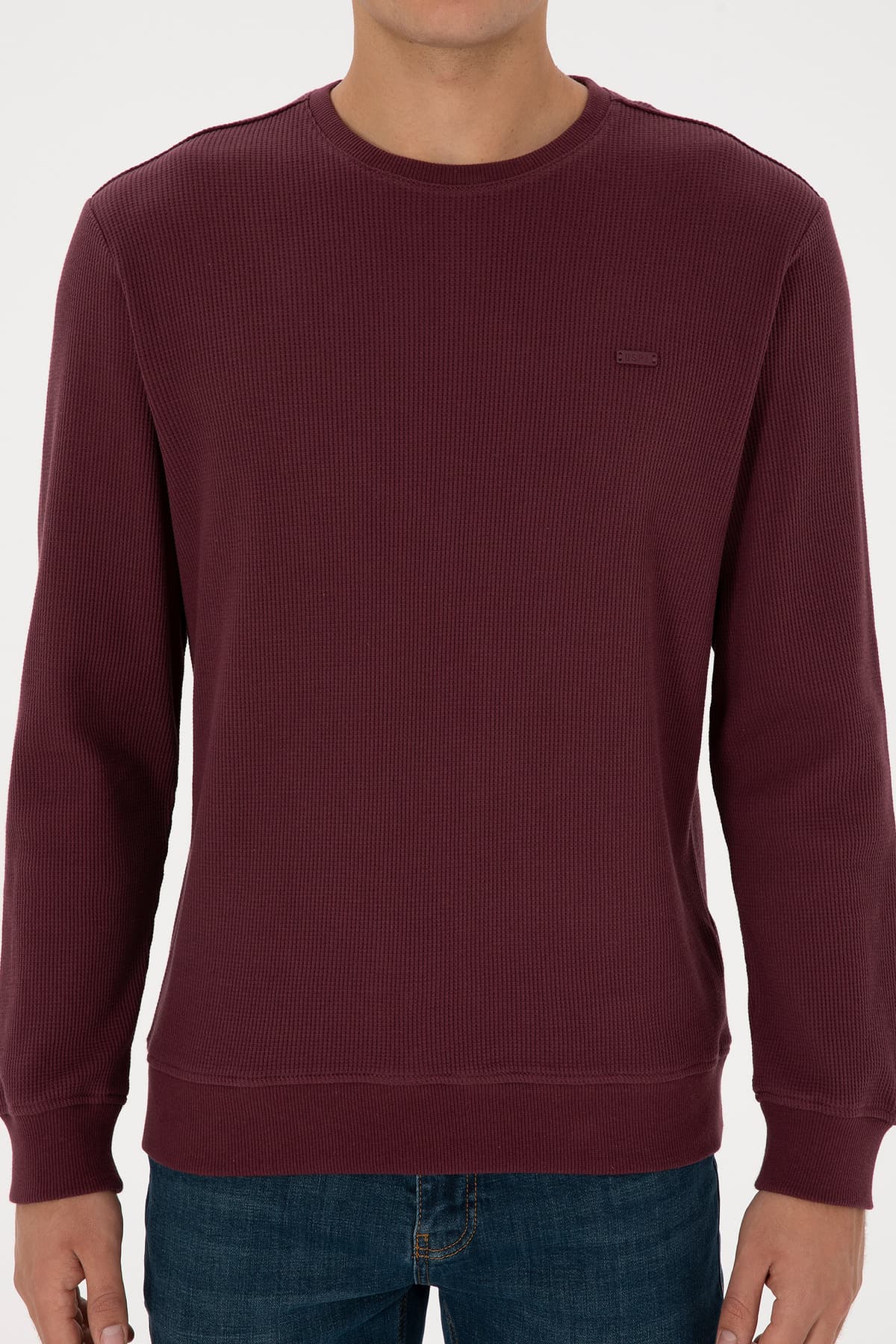 سوئیشرت مردانه U.S. Polo Assn. فیت معمولی یقه گرد بوردو مدل 50316390-VR177 سوئیشرت مردانه U.S. Polo Assn. فیت معمولی یقه گرد بوردو مدل 50316390-VR177