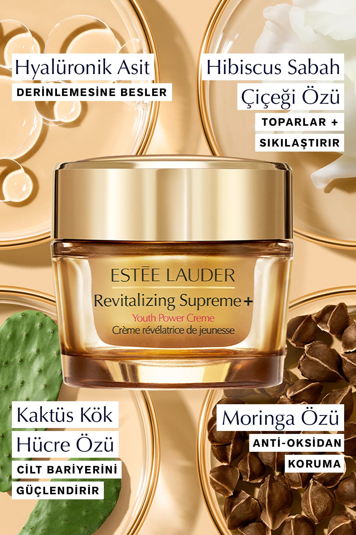 ست مراقبت از پوست سهتکه Estee Lauder ترمیم و کلاژن شامل سرم Advanced Night Repair 20ml، کرم Supreme 5ml و کرم چشم 5ml ست مراقبت از پوست سهتکه Estee Lauder ترمیم و کلاژن شامل سرم Advanced Night Repair 20ml، کرم Supreme 5ml و کرم چشم 5ml