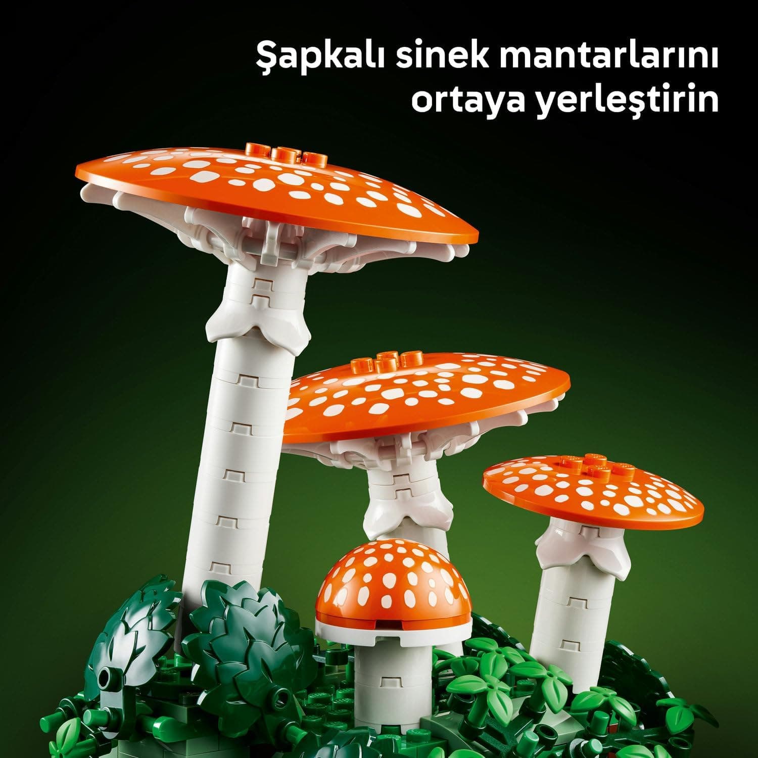 لگو Botanicals قارچهای جنگلی مدل 11505 لگو Botanicals قارچهای جنگلی مدل 11505