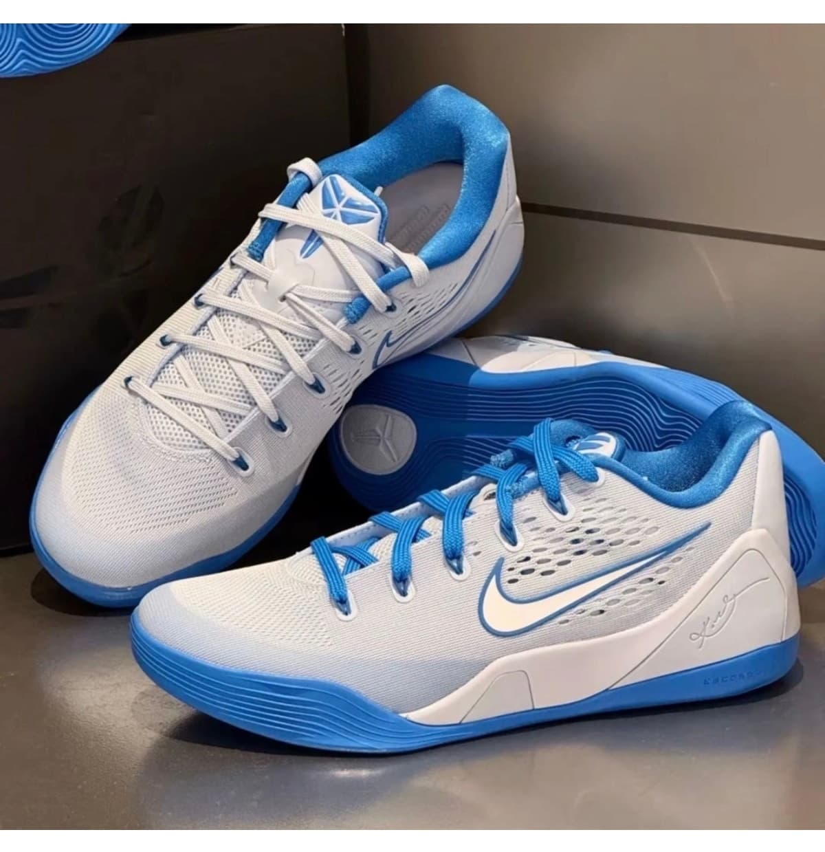 کفش بسکتبال بچگانه Nike آبی هیدروژنی مدل Kobe IX 9 Low EM GS کفش بسکتبال بچگانه Nike آبی هیدروژنی مدل Kobe IX 9 Low EM GS