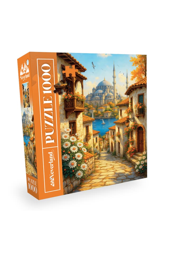 پازل 1000 تکه Neverland طرح Old Istanbul Street پازل 1000 تکه Neverland طرح Old Istanbul Street