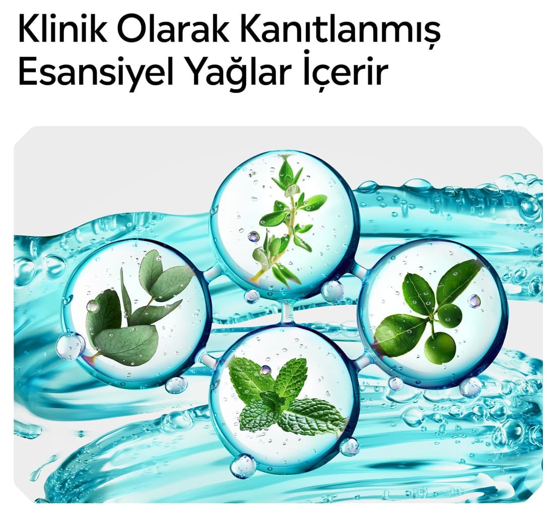 ست بهداشت دهان و دندان Listerine سایز خانواده 250ml با Mini Cool Mint هدیه ست بهداشت دهان و دندان Listerine سایز خانواده 250ml با Mini Cool Mint هدیه