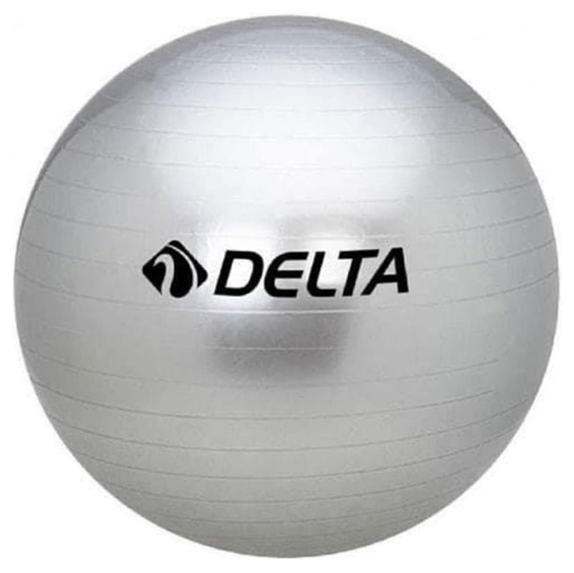 توپ پیلاتس پسرانه Delta نقرهای 65 Cm مناسب قد 160 Cm تا 169 Cm بدون پمپ توپ پیلاتس پسرانه Delta نقرهای 65 Cm مناسب قد 160 Cm تا 169 Cm بدون پمپ