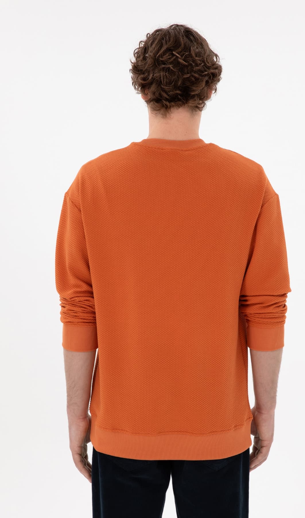 سوئیشرت مردانه U.S. Polo Assn. کامفورت فیت یقه گرد رنگ دارچینی مدل 50290777-VR191 سوئیشرت مردانه U.S. Polo Assn. کامفورت فیت یقه گرد رنگ دارچینی مدل 50290777-VR191