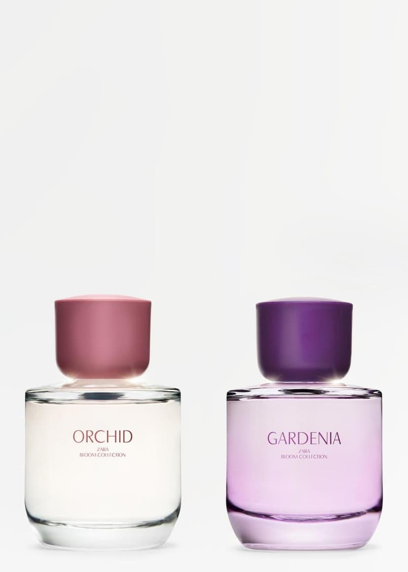 عطر مردانه Zara ادوپرفیوم Gardenıa و Orchıd 90 ml عطر مردانه Zara ادوپرفیوم Gardenıa و Orchıd 90 ml