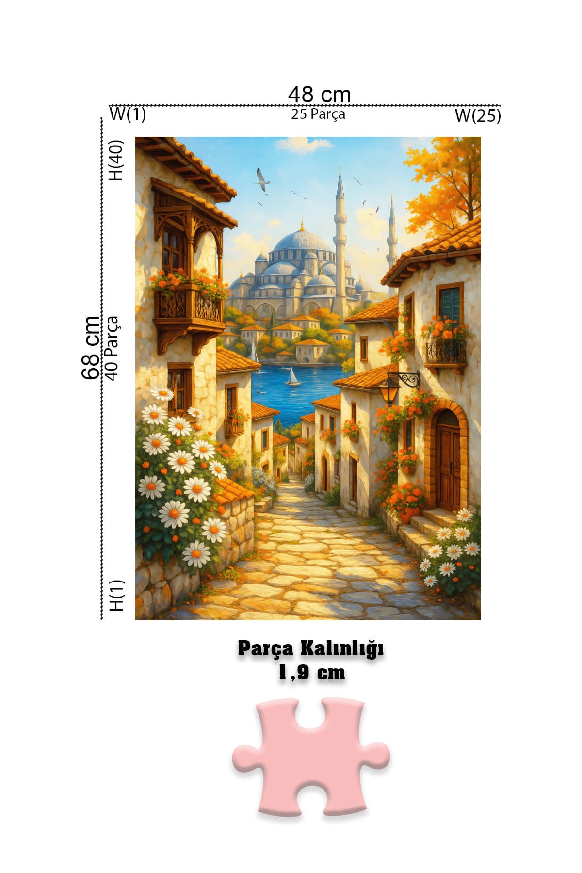 پازل 1000 تکه Neverland طرح Old Istanbul Street پازل 1000 تکه Neverland طرح Old Istanbul Street