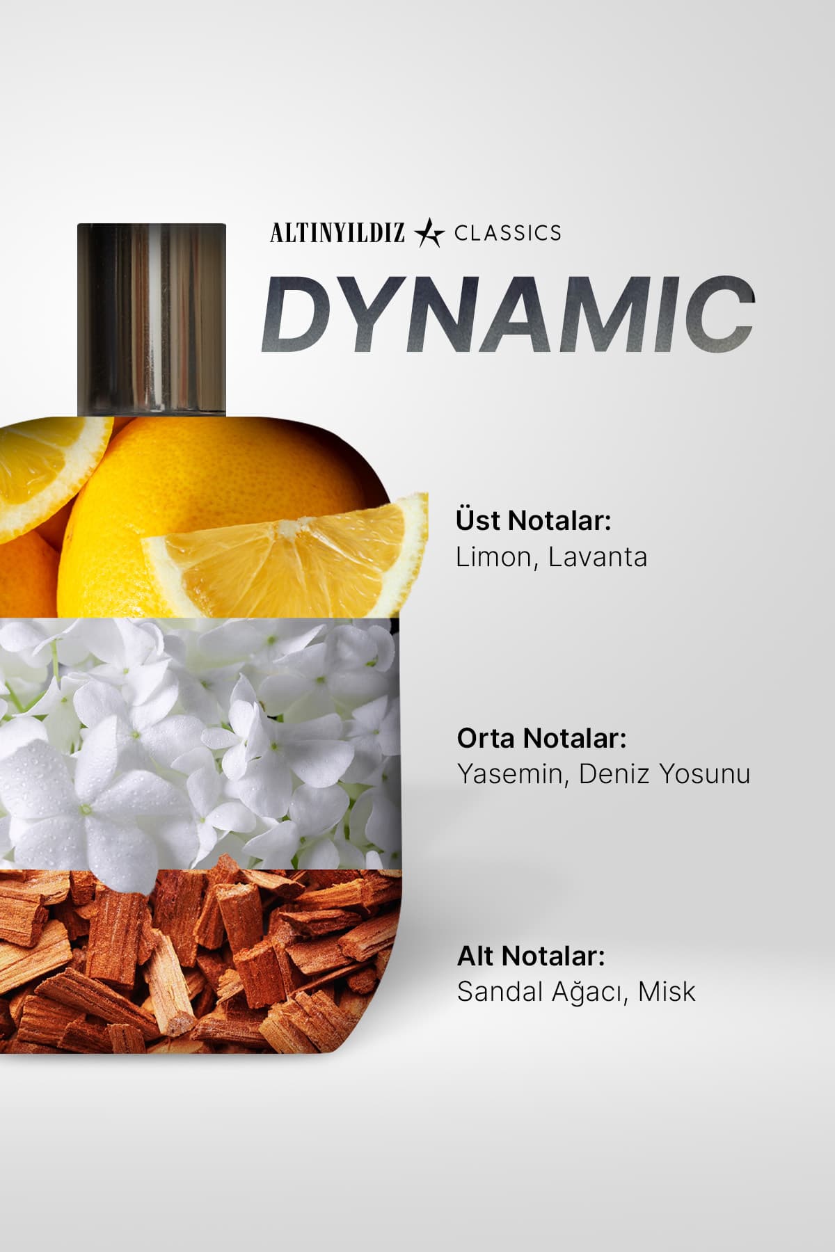 عطر مردانه Altınyıldız Classics AC Dynamic سری ویژه EDP با ماندگاری طولانی 100 Ml عطر مردانه Altınyıldız Classics AC Dynamic سری ویژه EDP با ماندگاری طولانی 100 Ml