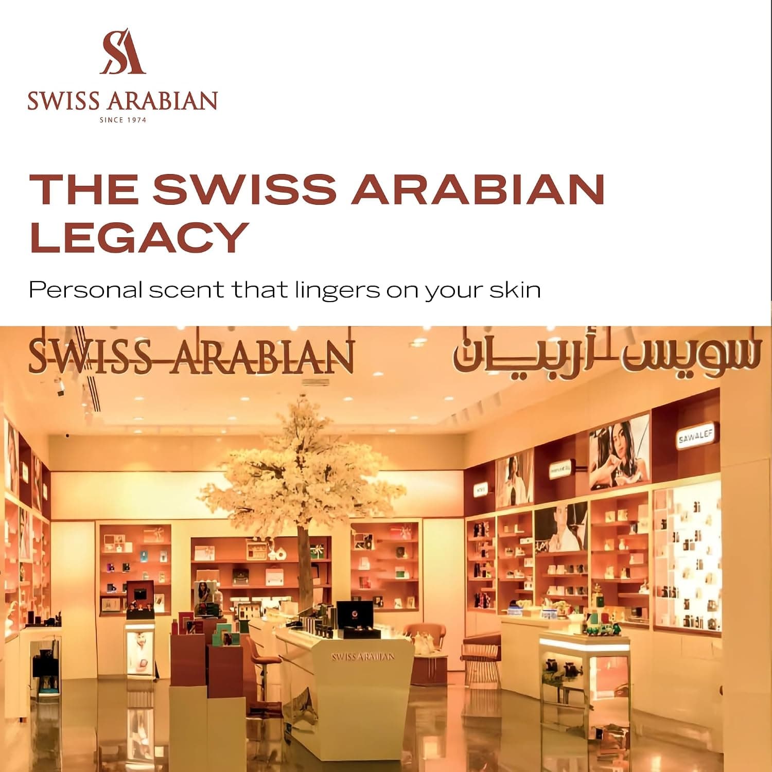 روغن عطر غلیظ زنانه Swiss Arabian مدل Sandalia 50ml چوبی روغن عطر غلیظ زنانه Swiss Arabian مدل Sandalia 50ml چوبی
