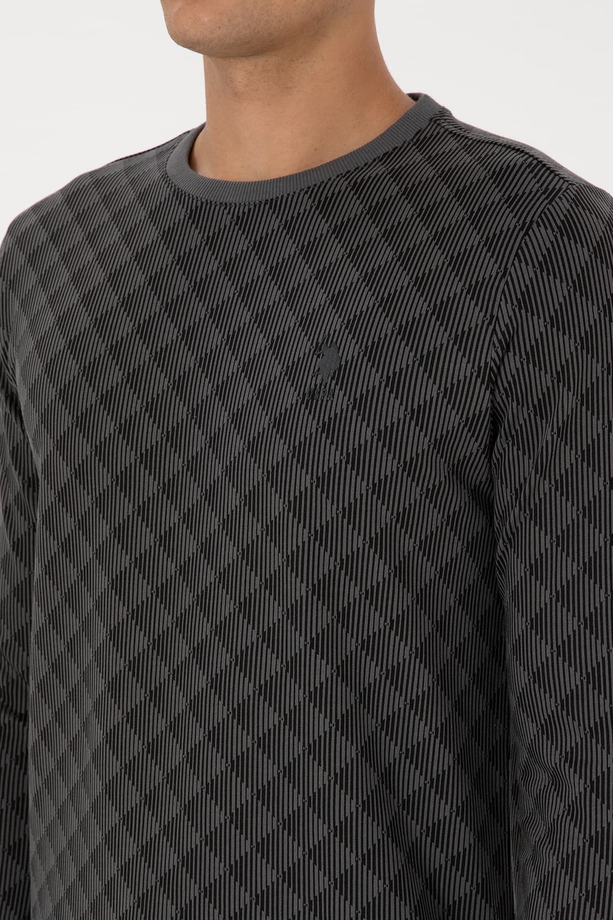 سوئیشرت مردانه U.S. Polo Assn. فیت معمولی یقه گرد آنتراسیت مدل 50309993-VR006 سوئیشرت مردانه U.S. Polo Assn. فیت معمولی یقه گرد آنتراسیت مدل 50309993-VR006