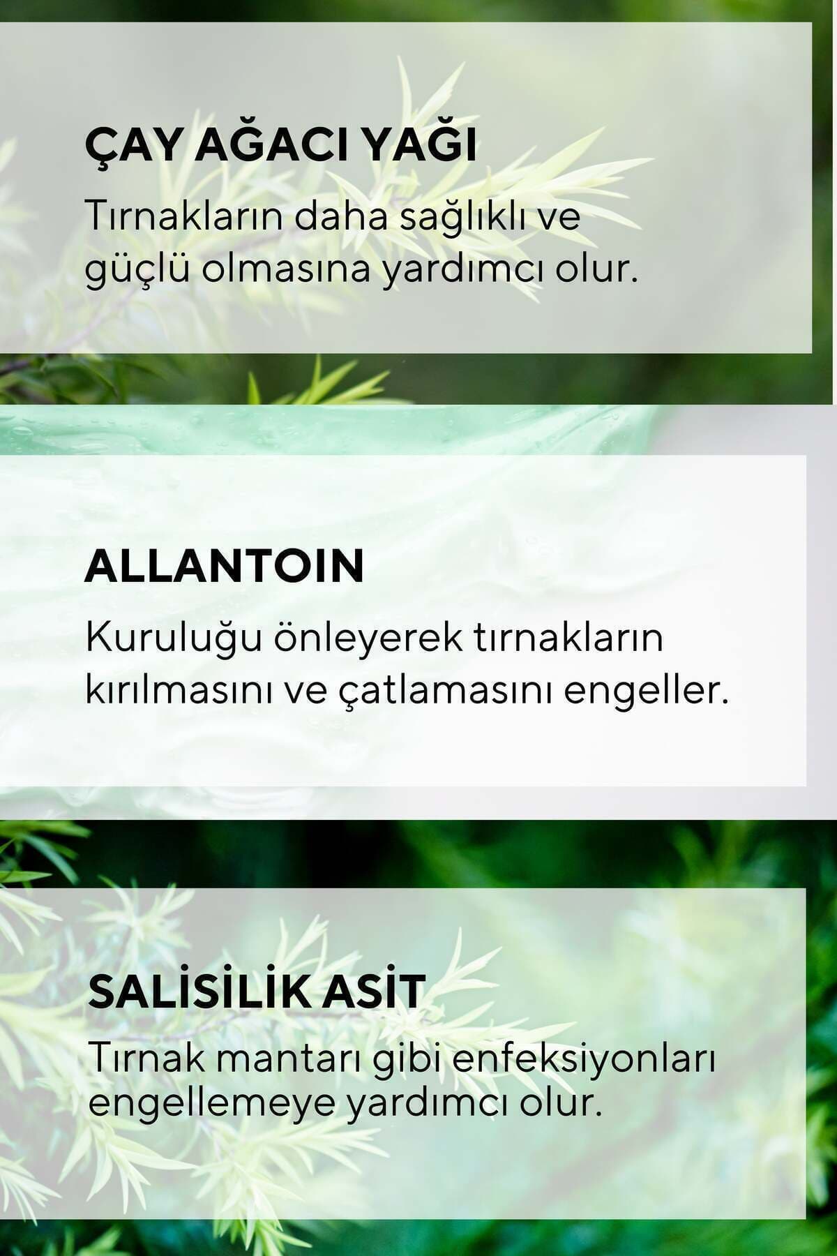 سرم مراقبت از ناخن دست و پا Ceelini چای درخت اسید سالیسیلیک 30 ml سرم مراقبت از ناخن دست و پا Ceelini چای درخت اسید سالیسیلیک 30 ml