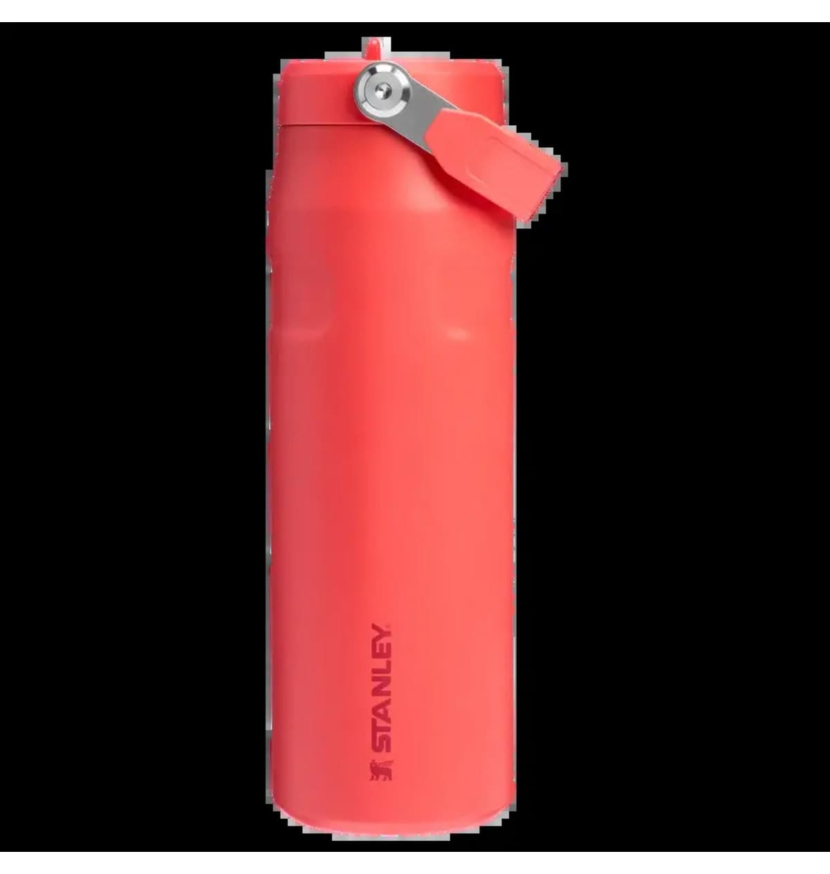 قمقمه Stanley IceFlow Bottle Flip Straw 2.0 0.7L / 24oz کاج خشک قمقمه Stanley IceFlow Bottle Flip Straw 2.0 0.7L / 24oz کاج خشک