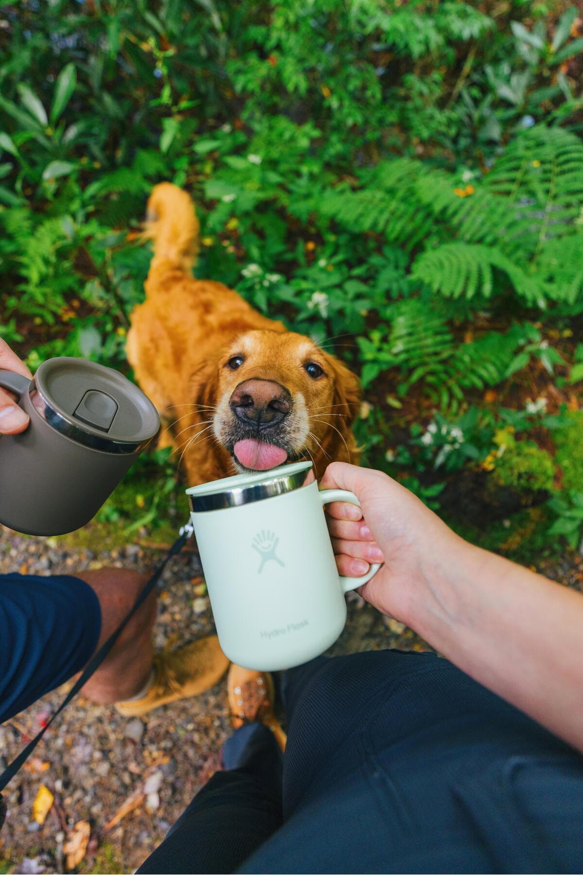 ماگ ترموس Hydro Flask قهوهای 355 ml (12 Oz) ماگ ترموس Hydro Flask قهوهای 355 ml (12 Oz)