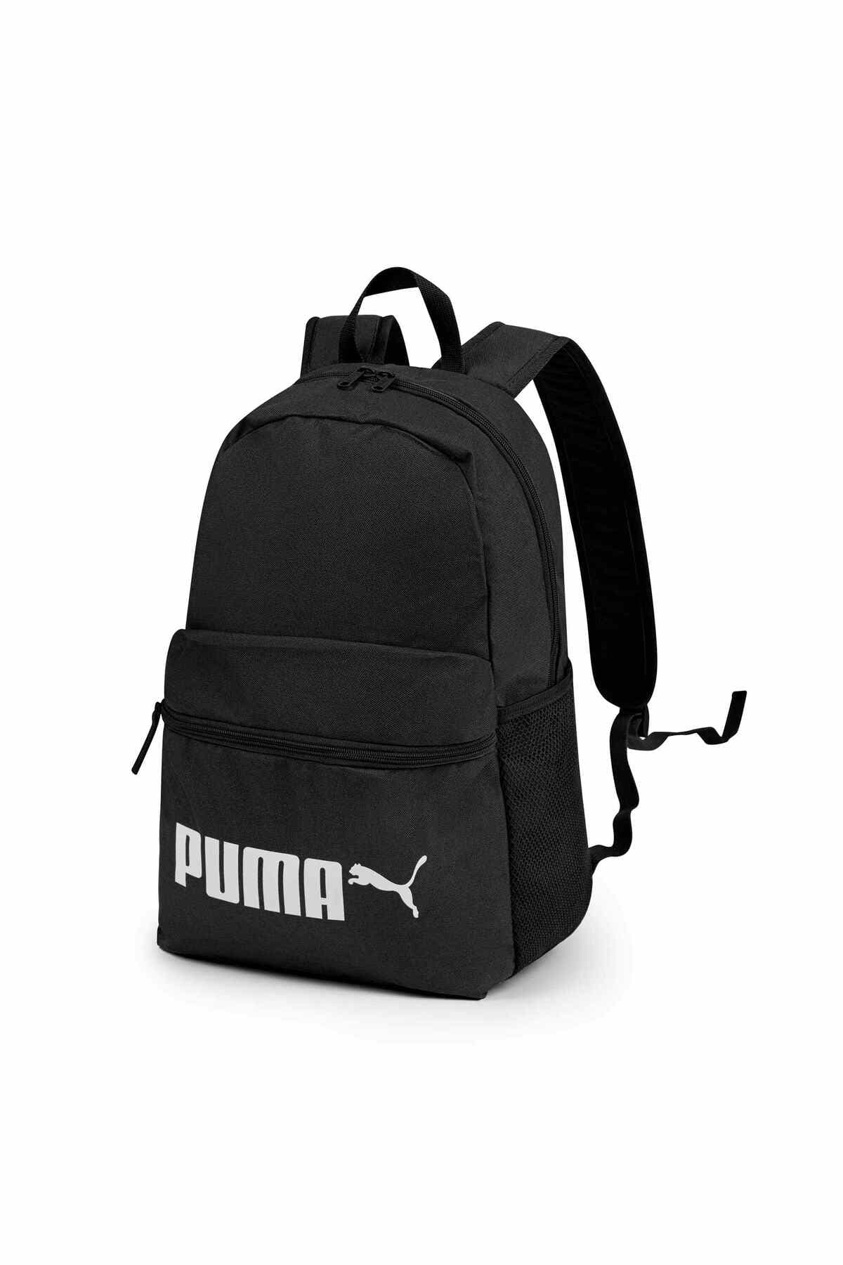 کولهپشتی Puma Phase II