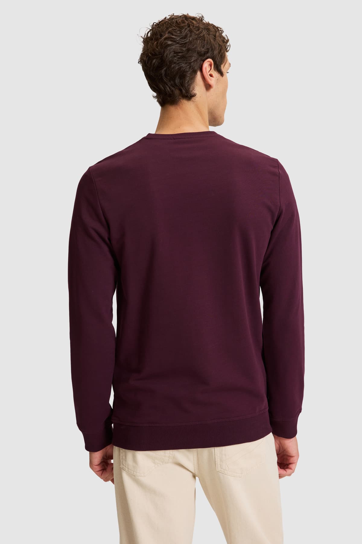 سویشرت مردانه U.S. Polo Assn. بوردو ساده مدل 50333273-VR180 سویشرت مردانه U.S. Polo Assn. بوردو ساده مدل 50333273-VR180