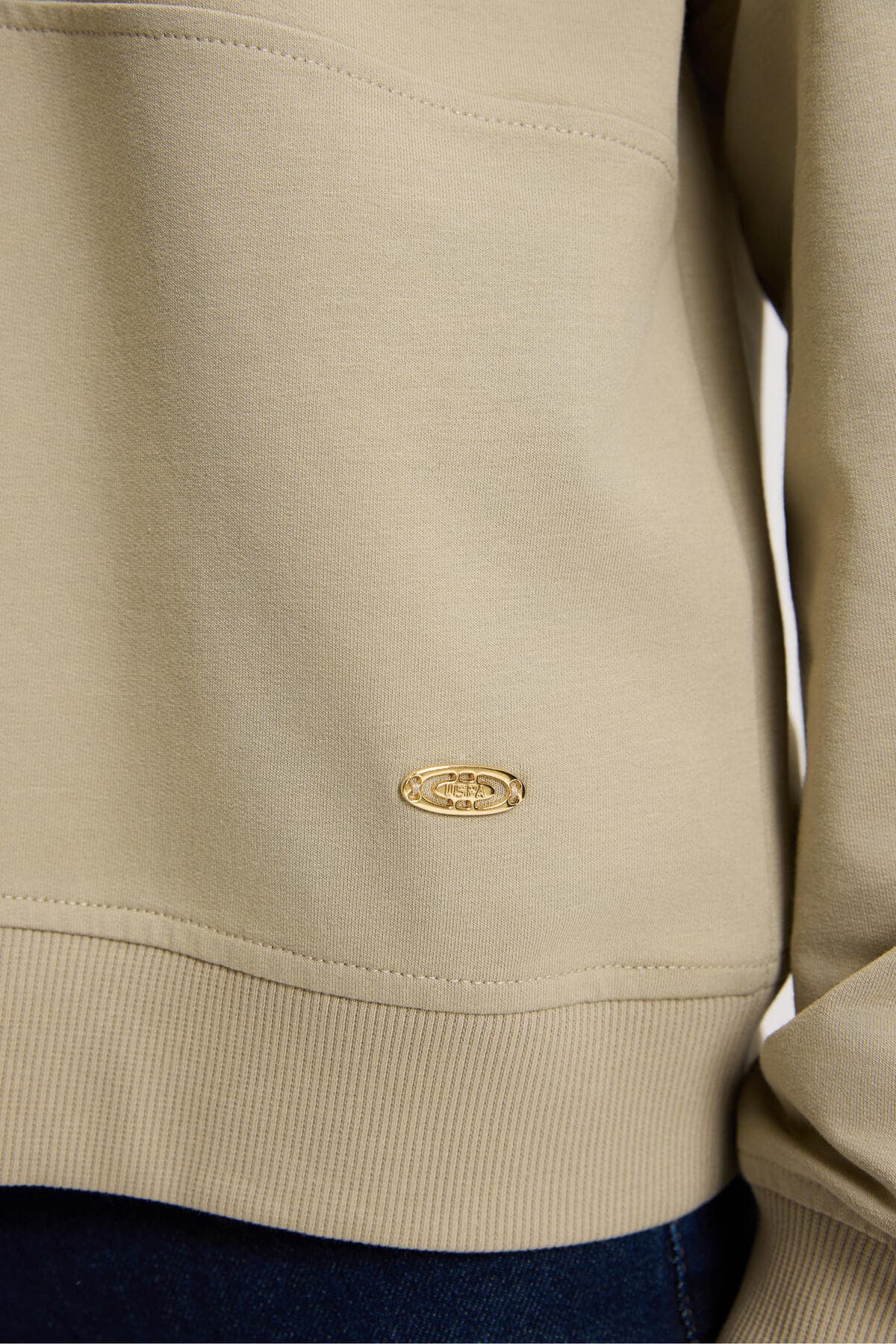سوئیشرت زنانه U.S. Polo Assn. رنگ خاکی روشن مدل 50329004-VR183 سوئیشرت زنانه U.S. Polo Assn. رنگ خاکی روشن مدل 50329004-VR183