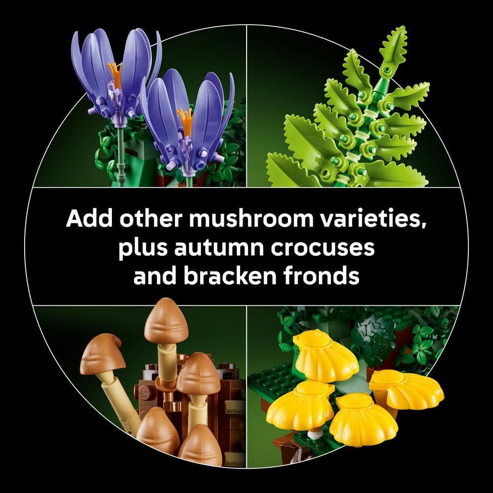 لگو سری Botanicals قارچهای جنگلی مدل 11505 لگو سری Botanicals قارچهای جنگلی مدل 11505
