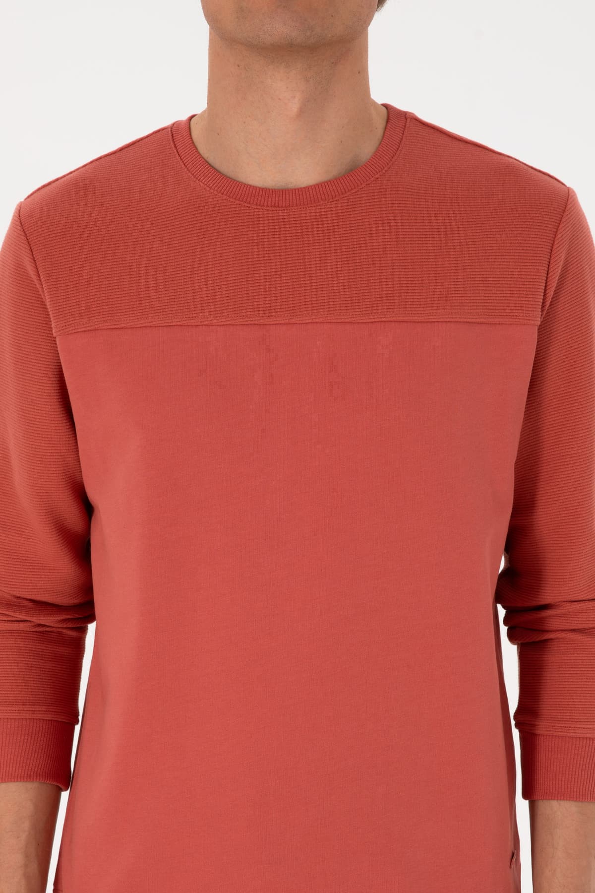سوئیشرت مردانه U.S. Polo Assn. فیت معمولی صورتی خاکی نازک مدل 50315455-VR026 سوئیشرت مردانه U.S. Polo Assn. فیت معمولی صورتی خاکی نازک مدل 50315455-VR026