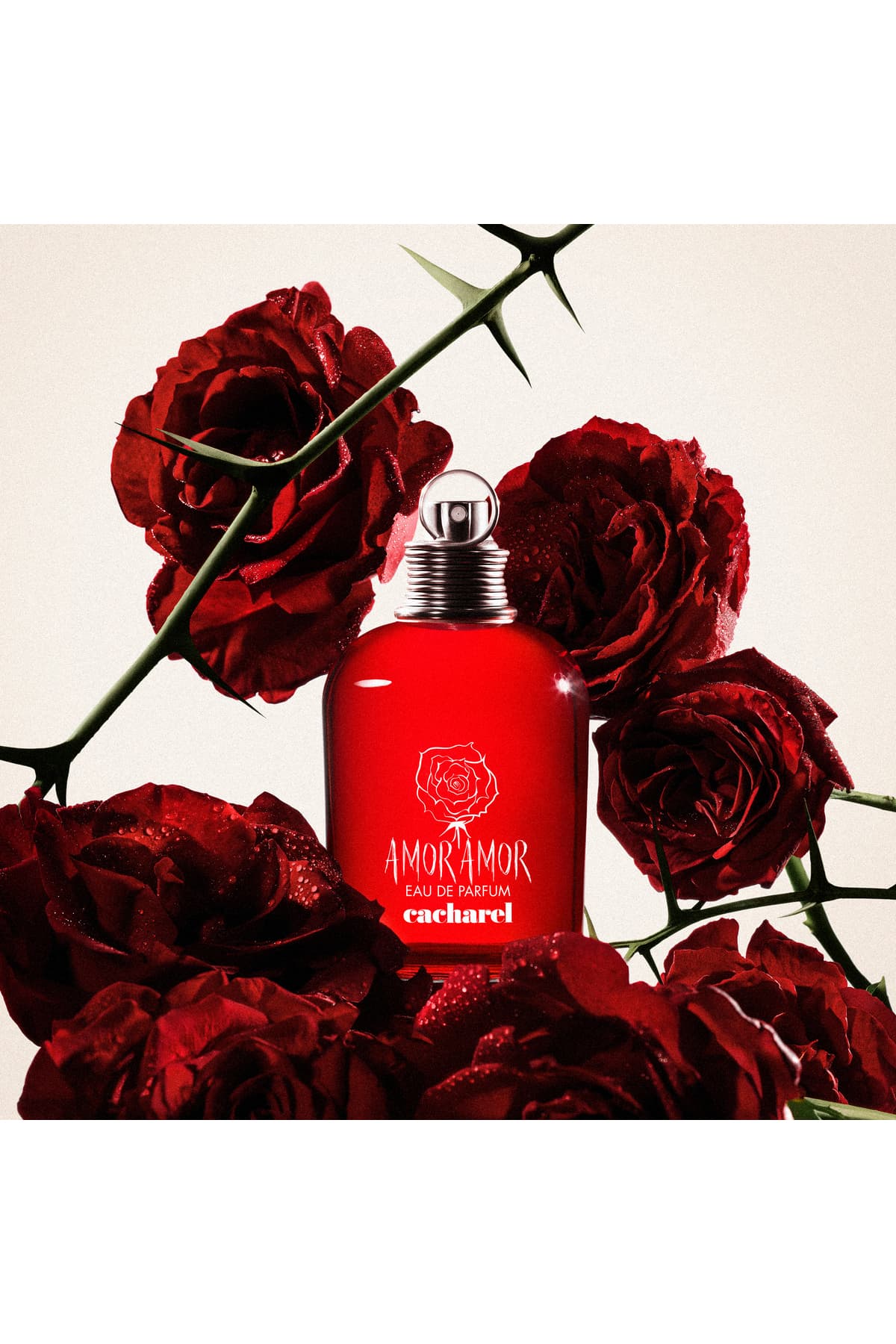 ادو تویلت زنانه Cacharel Amor Amor 30 ml ادو تویلت زنانه Cacharel Amor Amor 30 ml