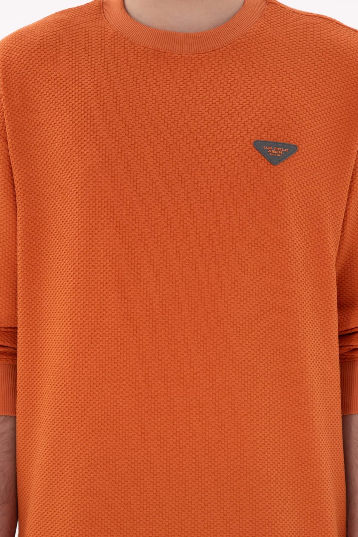 سوئیشرت مردانه U.S. Polo Assn. کامفورت فیت یقه گرد رنگ دارچینی مدل 50290777-VR191 سوئیشرت مردانه U.S. Polo Assn. کامفورت فیت یقه گرد رنگ دارچینی مدل 50290777-VR191