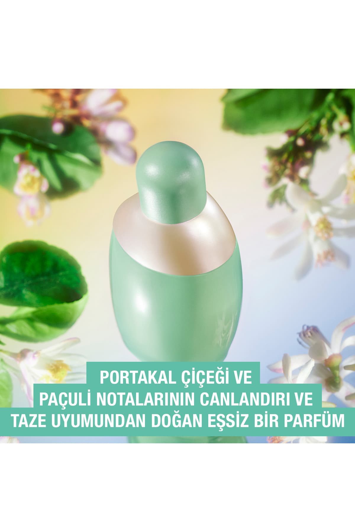 عطر زنانه Cacharel Eden EDP 50 ml عطر زنانه Cacharel Eden EDP 50 ml
