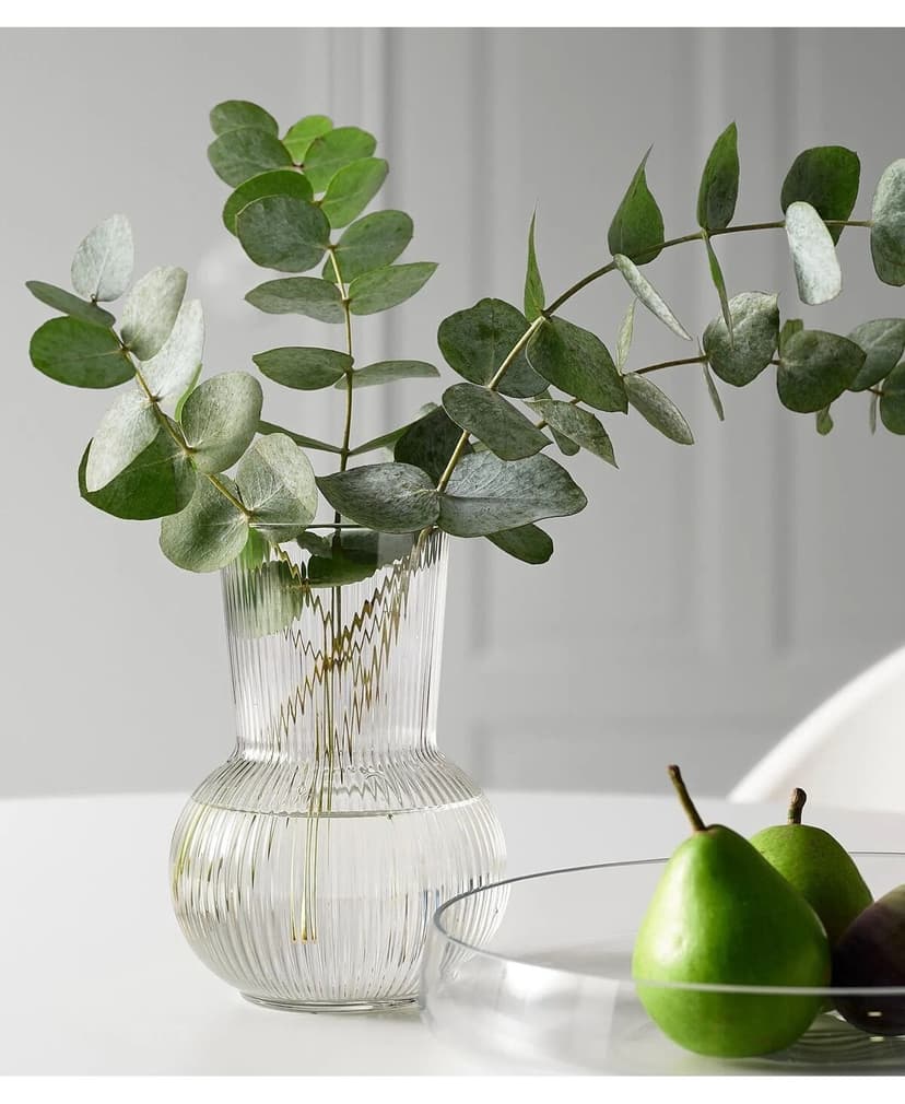 گلدان شیشهای IKEA شفاف رومیزی ارتفاع 17 cm قطر 12 cm گلدان شیشهای IKEA شفاف رومیزی ارتفاع 17 cm قطر 12 cm