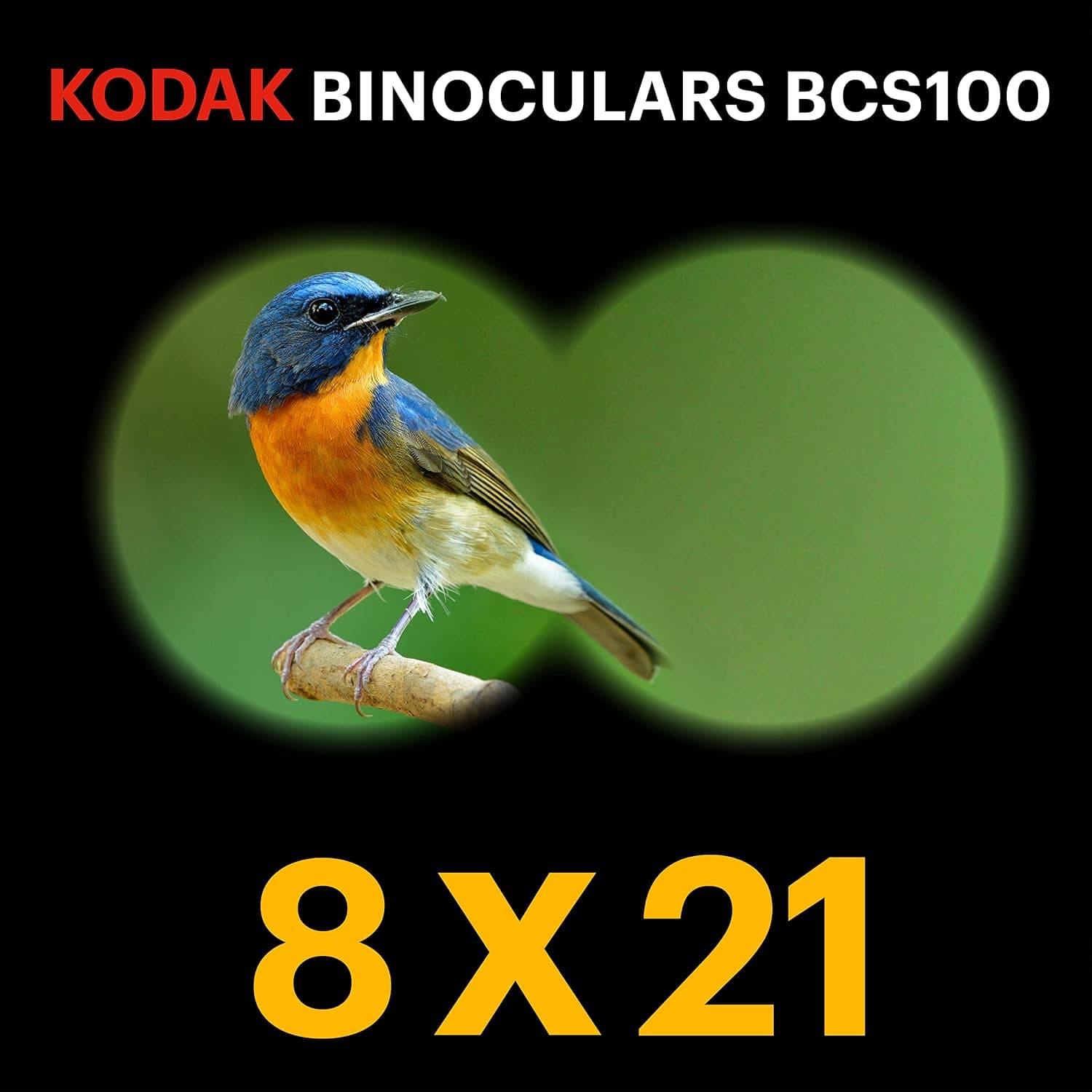 دوربین دوچشمی کودکان KODAK کامپکت بزرگنمایی 8X آبی مدل BCS100 دوربین دوچشمی کودکان KODAK کامپکت بزرگنمایی 8X آبی مدل BCS100