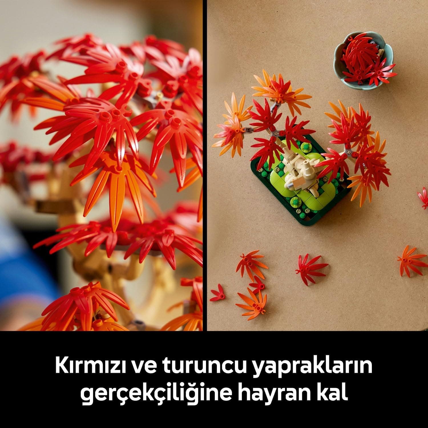 لگو Botanicals بونسای افرای قرمز ژاپنی مدل 10348 لگو Botanicals بونسای افرای قرمز ژاپنی مدل 10348