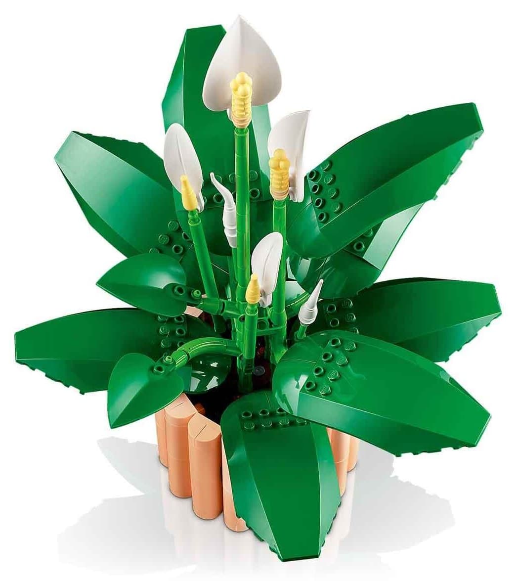 لگو Botanicals گل صلح مدل 11504 لگو Botanicals گل صلح مدل 11504