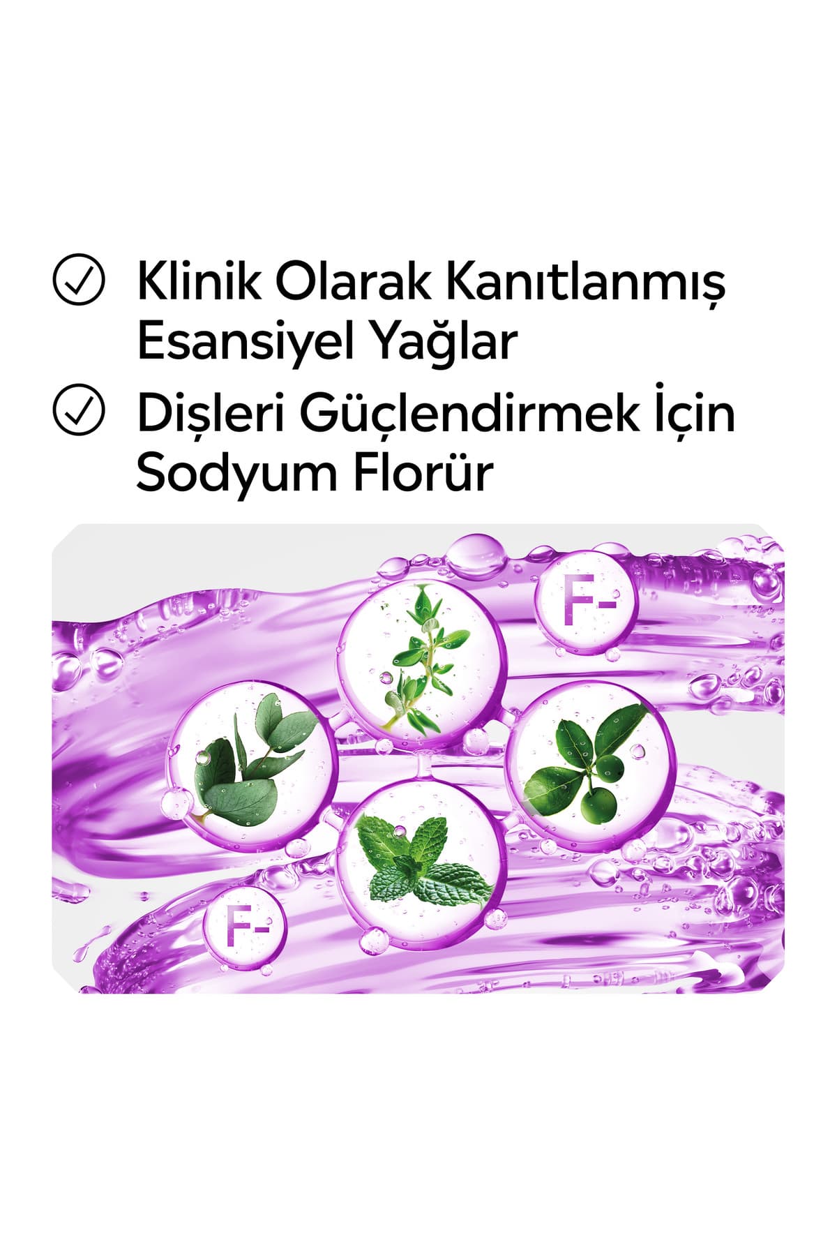 دهانشویه Listerine Total Care با محافظت از دندانها و طعم ملایم 250 ml دهانشویه Listerine Total Care با محافظت از دندانها و طعم ملایم 250 ml