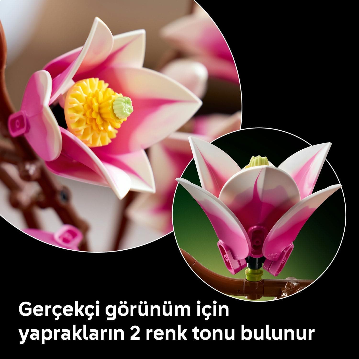 لگو Botanicals شاخههای ماگنولیا مدل 11510 لگو Botanicals شاخههای ماگنولیا مدل 11510