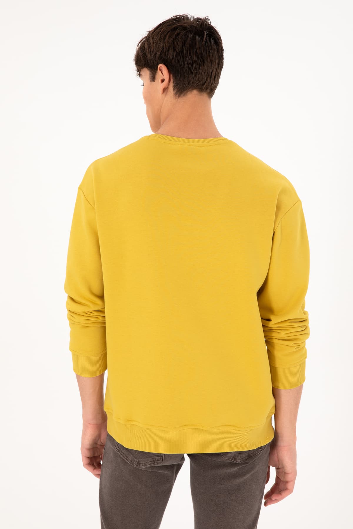 سوئیشرت مردانه U.S. Polo Assn. یقه گرد زرد بیسیک شاردون مدل 50295148-VR094 سوئیشرت مردانه U.S. Polo Assn. یقه گرد زرد بیسیک شاردون مدل 50295148-VR094