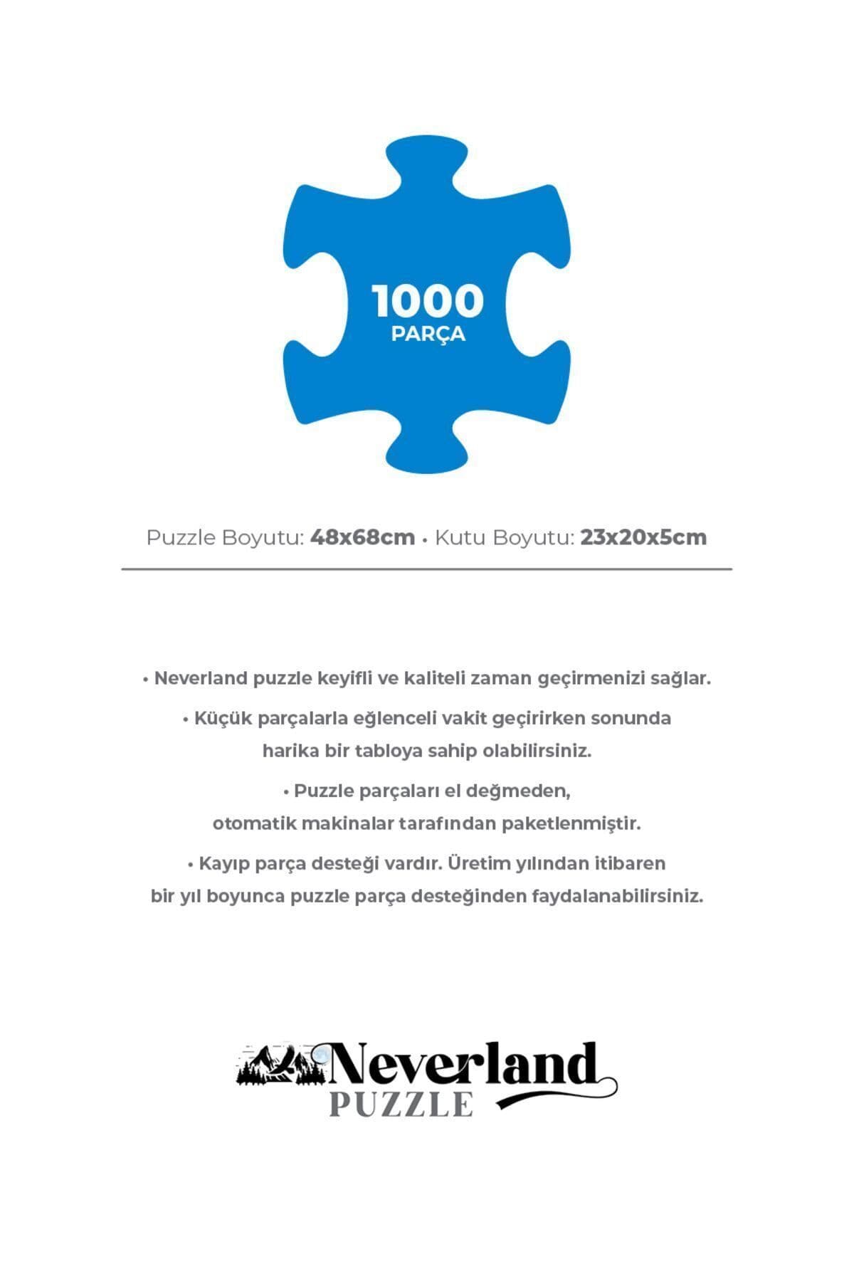 پازل 1000 تکه 2 عددی Neverland با طرح شب پرستاره و خانه ساحلی پازل 1000 تکه 2 عددی Neverland با طرح شب پرستاره و خانه ساحلی