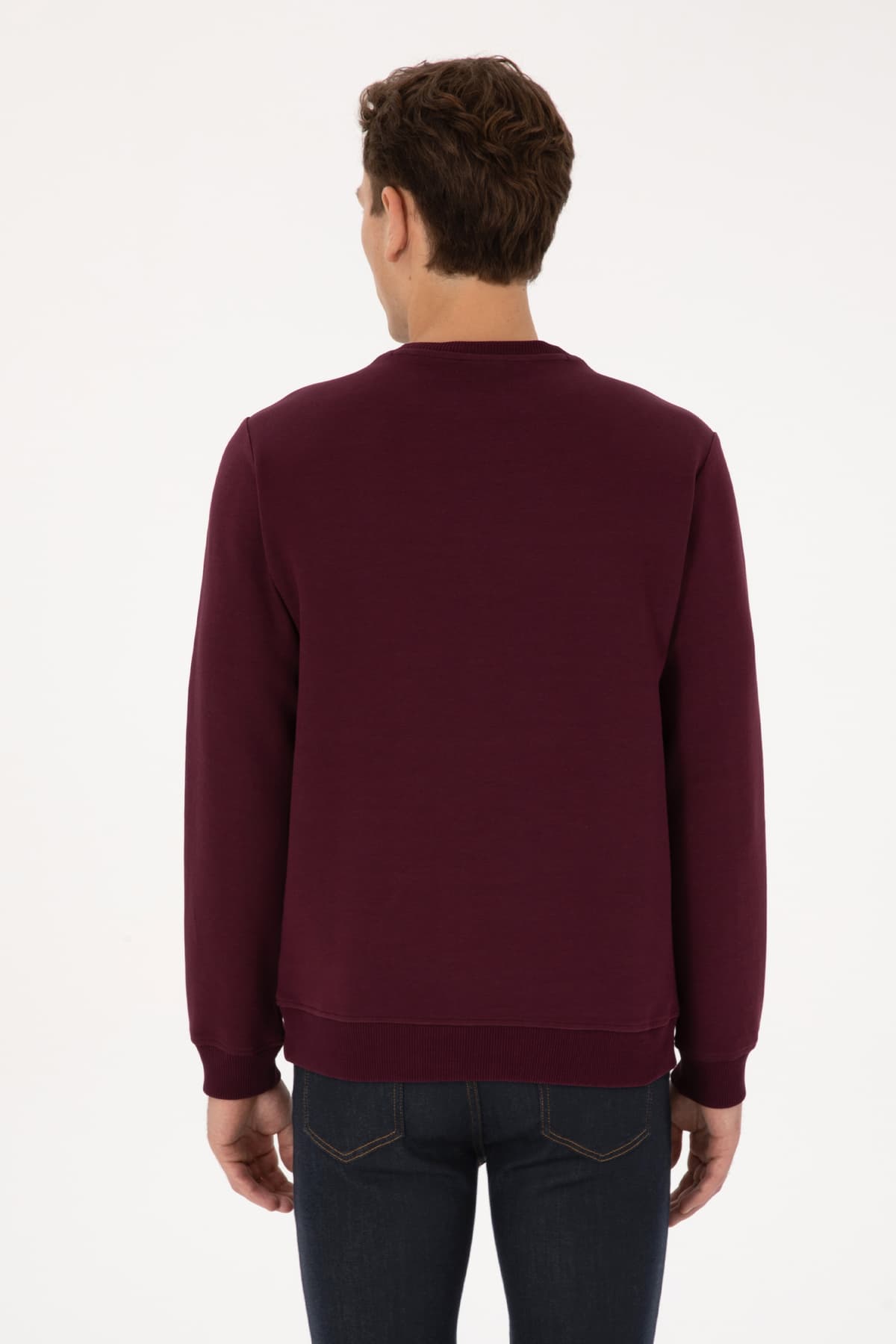 سوئیشرت مردانه U.S. Polo Assn. فیت معمولی یقه گرد زرشکی مدل 50316354-VR177 سوئیشرت مردانه U.S. Polo Assn. فیت معمولی یقه گرد زرشکی مدل 50316354-VR177