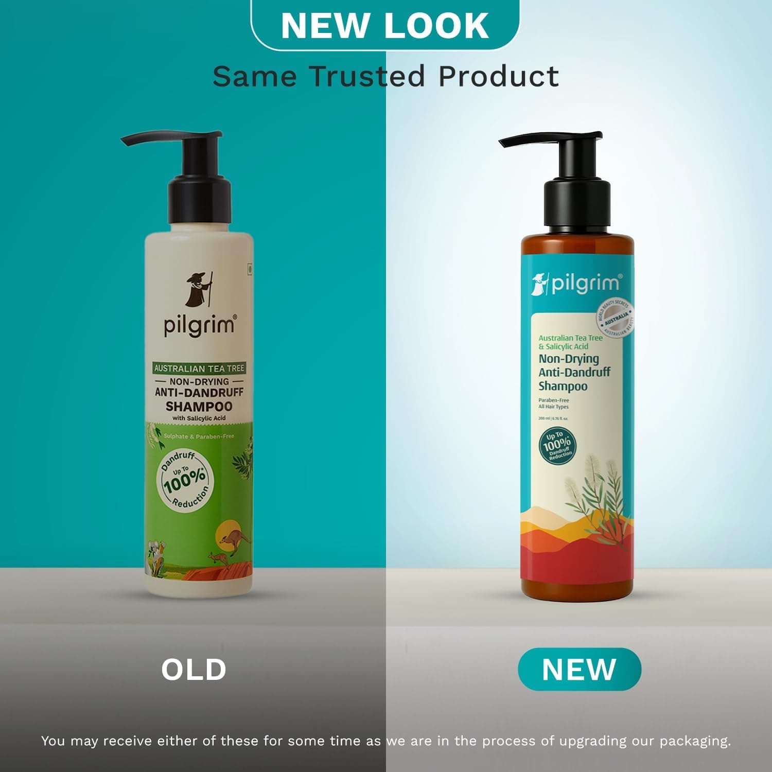 شامپو ضدشوره Pilgrim حاوی درخت چای استرالیایی 200 ml شامپو ضدشوره Pilgrim حاوی درخت چای استرالیایی 200 ml