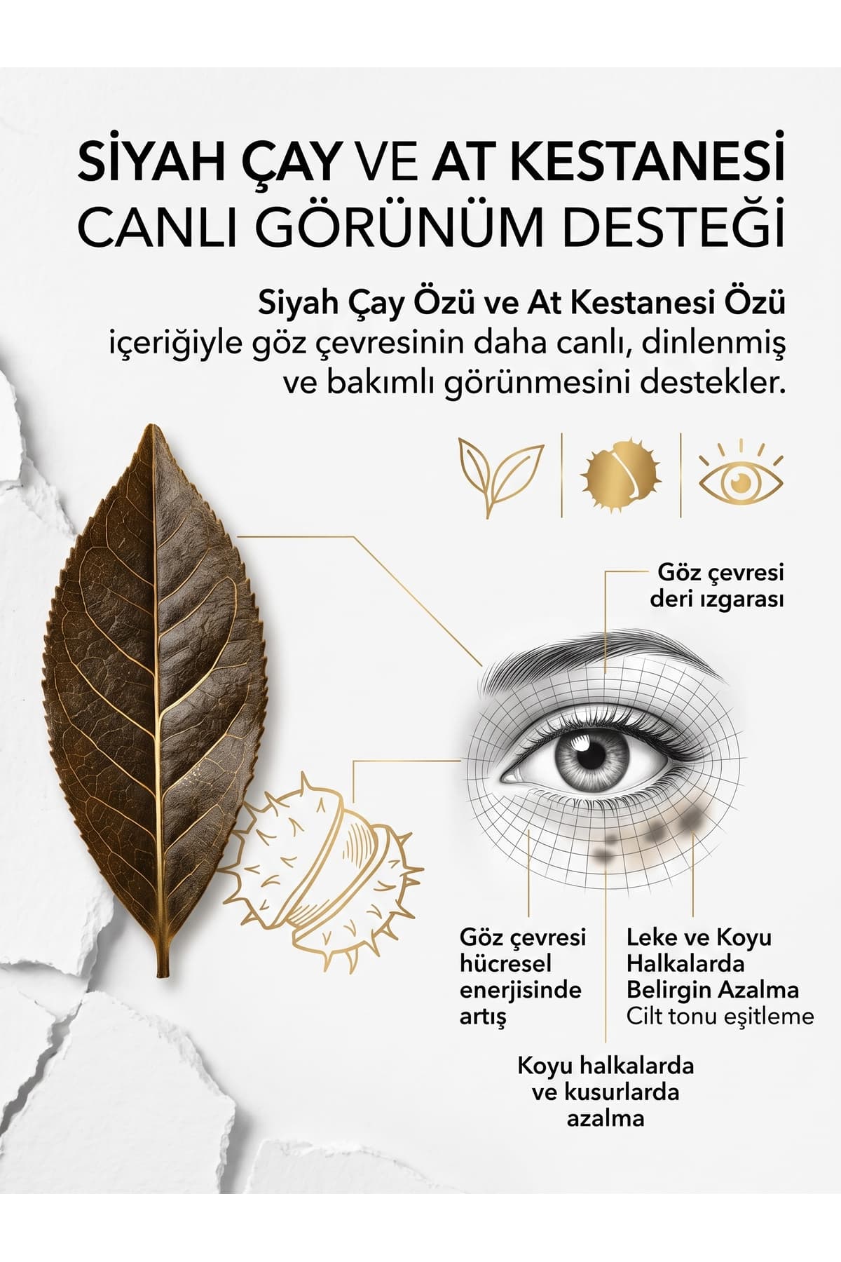 کرم تقویت مژه و ابرو و مراقبت دور چشم Dermoskin بسته صرفهجویی کرم تقویت مژه و ابرو و مراقبت دور چشم Dermoskin بسته صرفهجویی