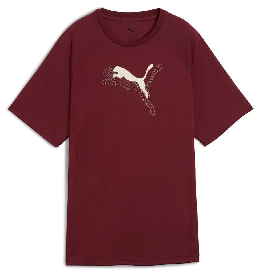 تیشرت زنانه Puma گرافیکی Evostripe مدل 688139 96 تیشرت زنانه Puma گرافیکی Evostripe مدل 688139 96