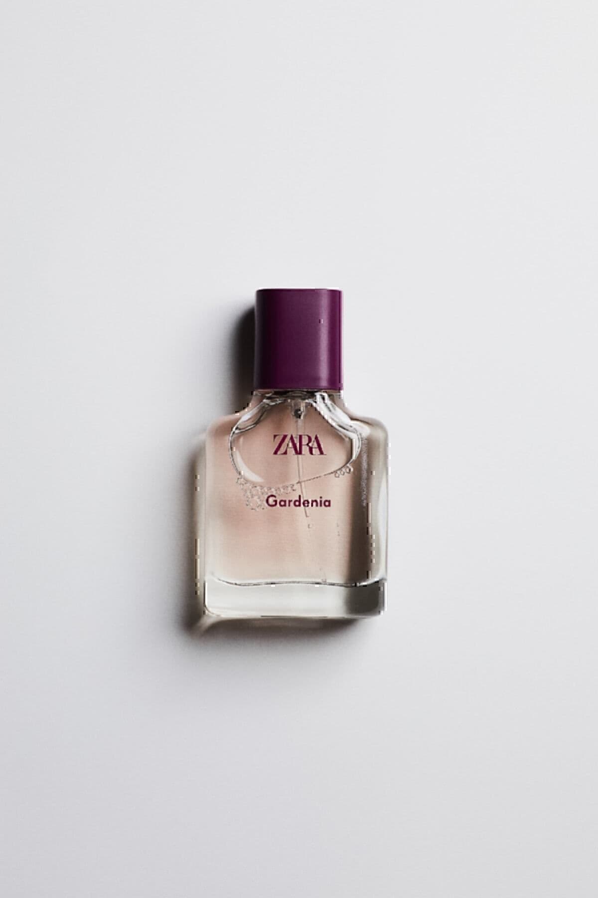 عطر زنانه Zara Gardenia EDP 30 ml Orchid EDP 30 ml عطر زنانه Zara Gardenia EDP 30 ml Orchid EDP 30 ml