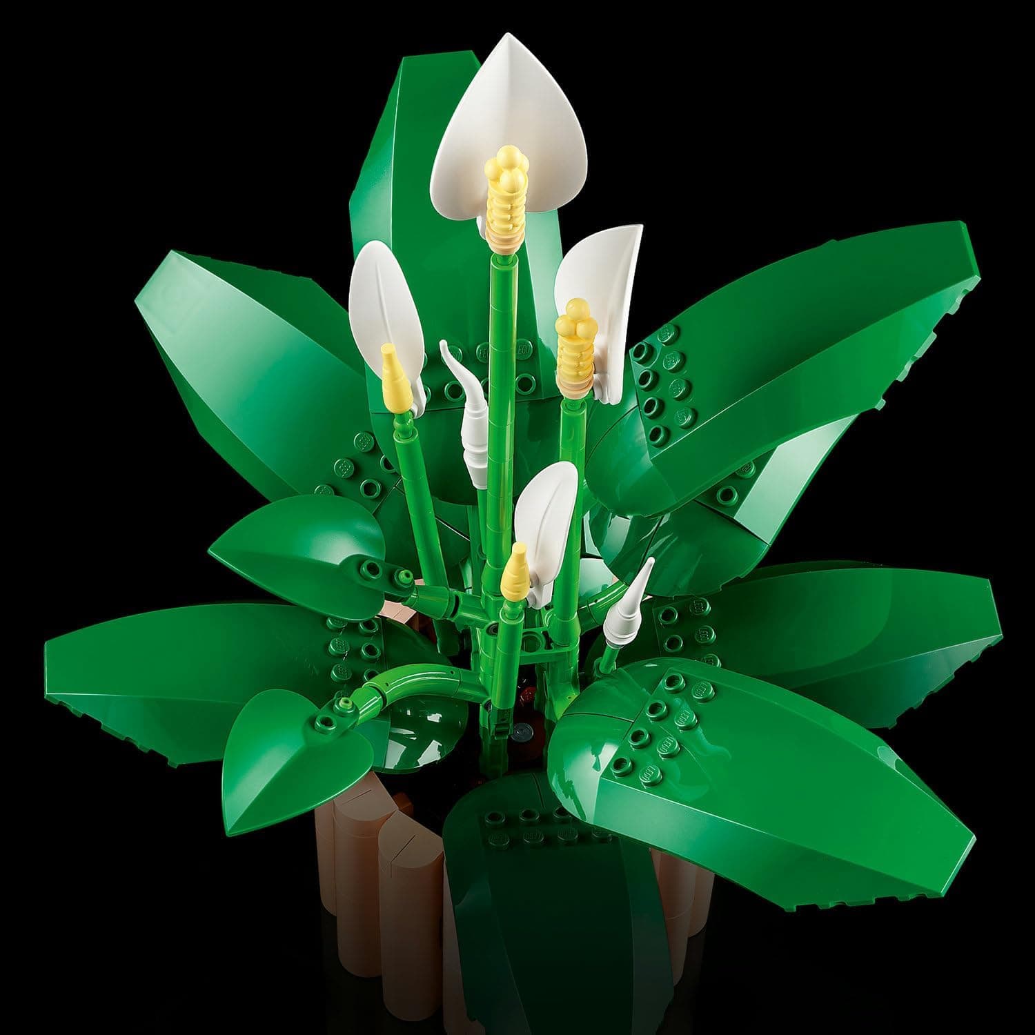 لگو 11504 Botanicals گل صلح لگو 11504 Botanicals گل صلح