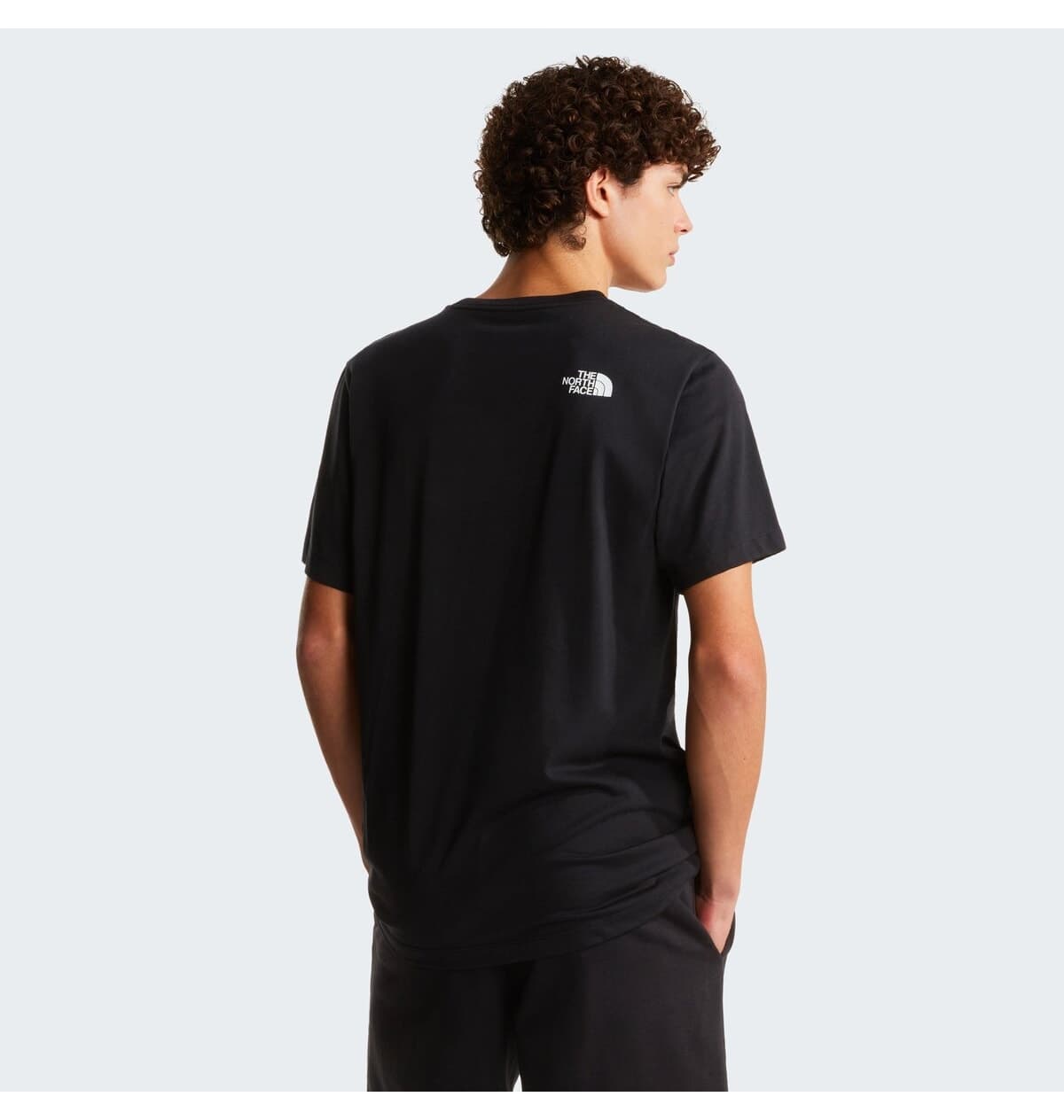 شورت مردانه The North Face مشکی فیت معمولی EVOLUTION BOX HALF DOME M شورت مردانه The North Face مشکی فیت معمولی EVOLUTION BOX HALF DOME M